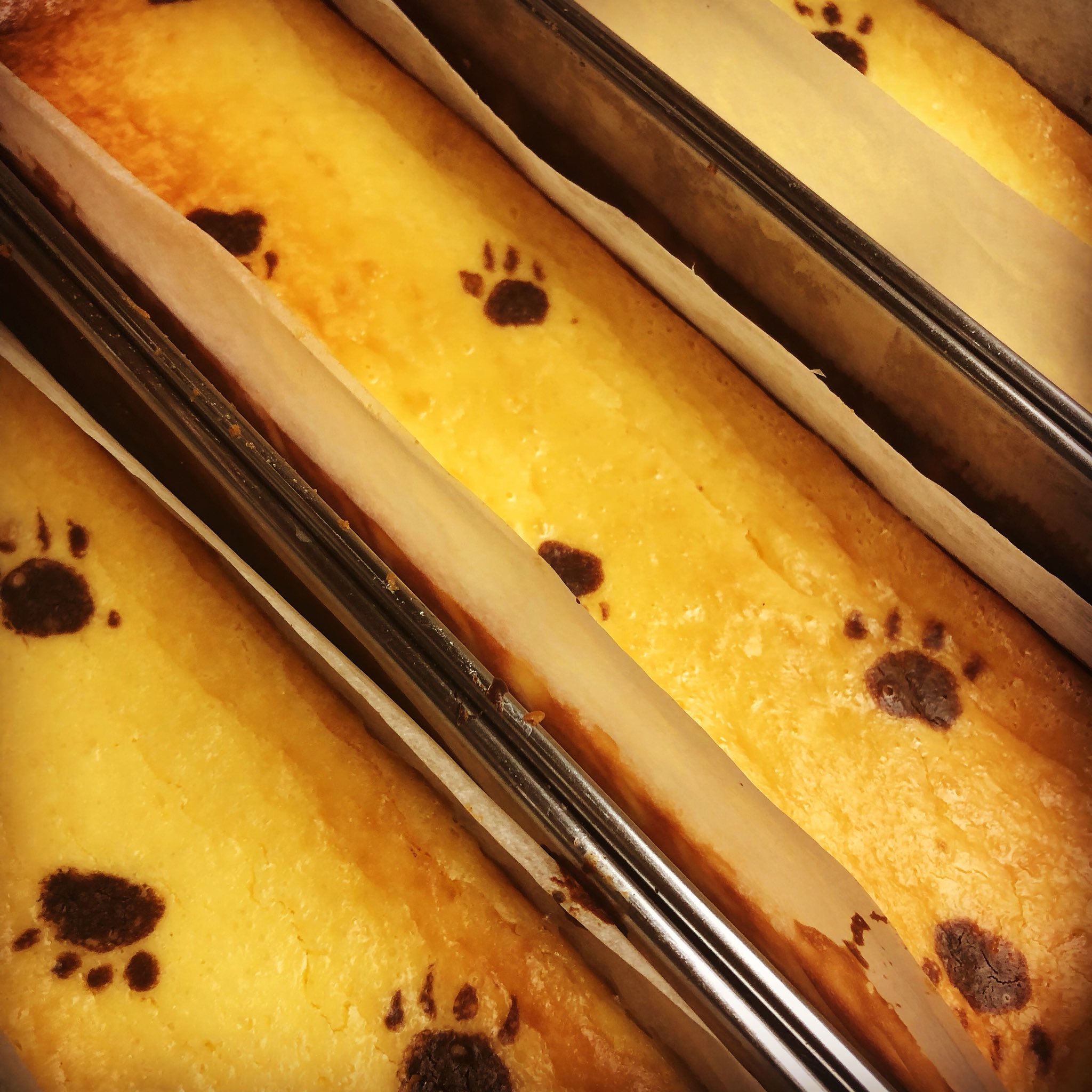 蜂蜜チーズケーキ Twitter Search Twitter
