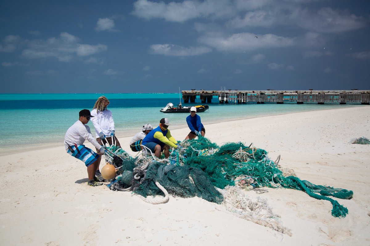 Beaches are not just for fun in the sun, but provide important habitat for wildlife! @HawaiiReef hundreds of tons of debris have been removed since 1996, creating a cleaner environment for the species who live there #cleanbeachesweek blog.marinedebris.noaa.gov/clean-beaches-…