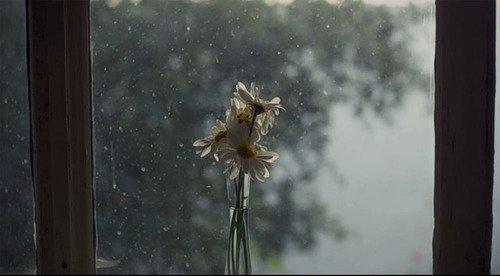🌧💜 tweet media