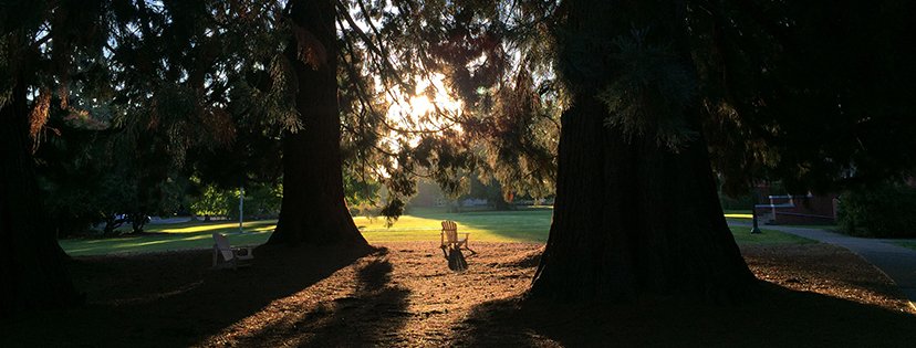 willamette_u's tweet image. Do you know someone who would make a great Bearcat? Tell them to come visit us during Oregon Private College Week later this month. Info: ow.ly/MIDj30kJnym #WillametteU @WUAdmit @WillametteAlum @CTCLColleges @Oregon_Alliance #ThinkIndependent2018 #WillametteUniversity