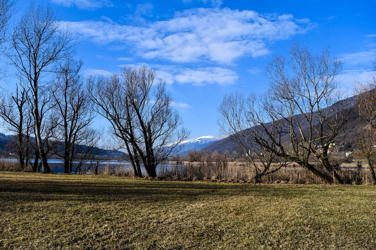 MyitalyCom's tweet photo. Approfitta di questa #estate per scoprire le meraviglie di #Revine Lago! Le giornate calde sono perfette per scoprire le sue viuzze e i #laghi, e fra poche settimane inizia il Lago Film Fest! https://t.co/cOOsyaQGy8 https://t.co/ZysepYl7qi