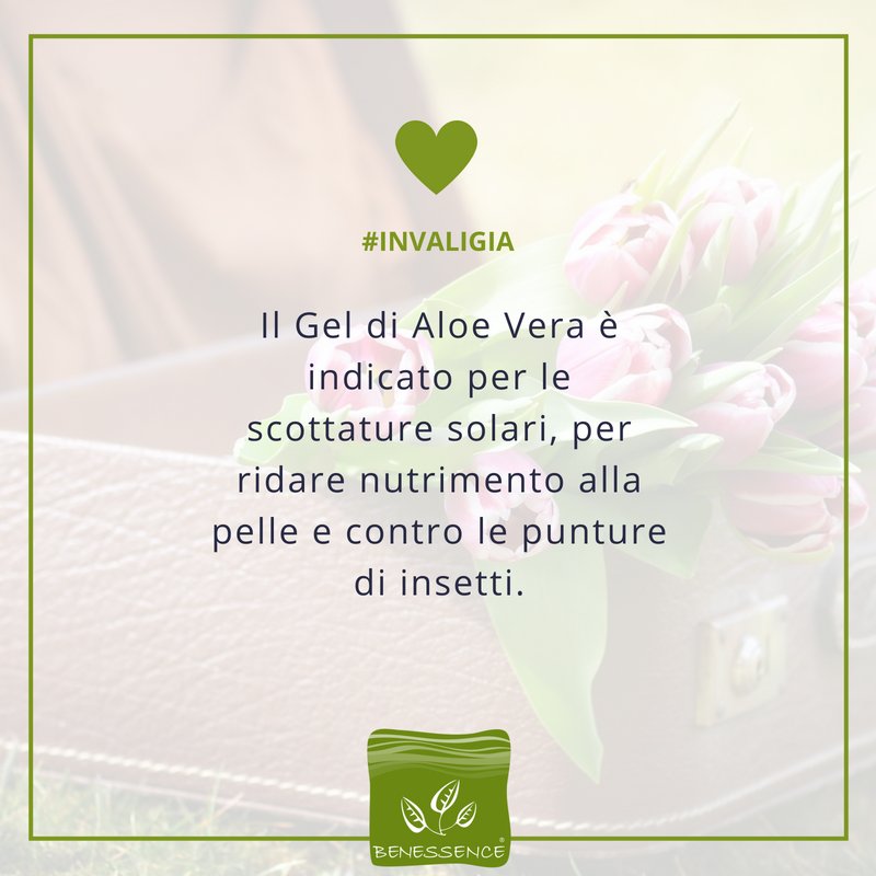 BenessenceAloe's tweet photo. #InValigia
🛫 Di quali prodotti non puoi fare a meno quando #viaggi? 
🍃 Oggi ti suggeriamo il nostro Veraskin, puro gel di #AloeVera, una vera e propria fonte di #benessere in formato da viaggio.
💚Goditi questa #estate2018 con i prodotti #naturali e #biologici. https://t.co/NqIKCzrhEi