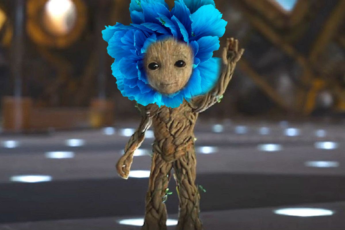 Baby Bloot says hi 😊💙 #GardenerKasius #ProudFather