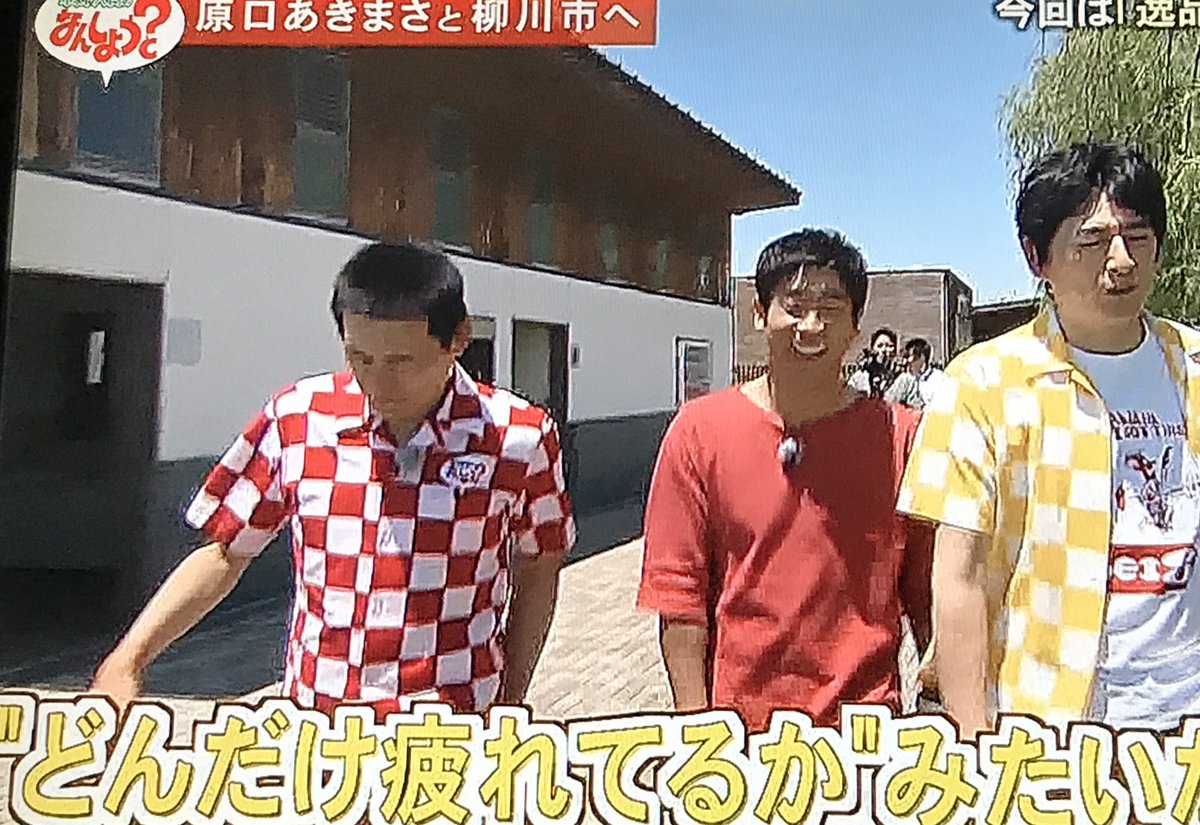 鏡灰馬 鏡灰馬