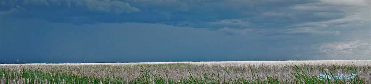MeToddScott's tweet photo. Yes, we are flat here in Manitoba, but this is actually a marsh and lake shot with a storm coming in. #exploremb #weareflat https://t.co/EjdBoiczbD