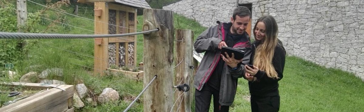 Babooni Technologies tweet media