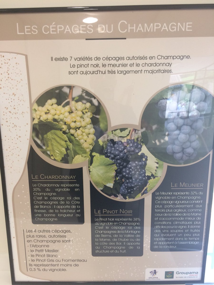 pinonjl's tweet photo. Inauguration de la salle de dégustation du cellier du lycée #agricole de #Crézancy @GroupamaNordEst partenaire #proximité https://t.co/2tBHcidLLt