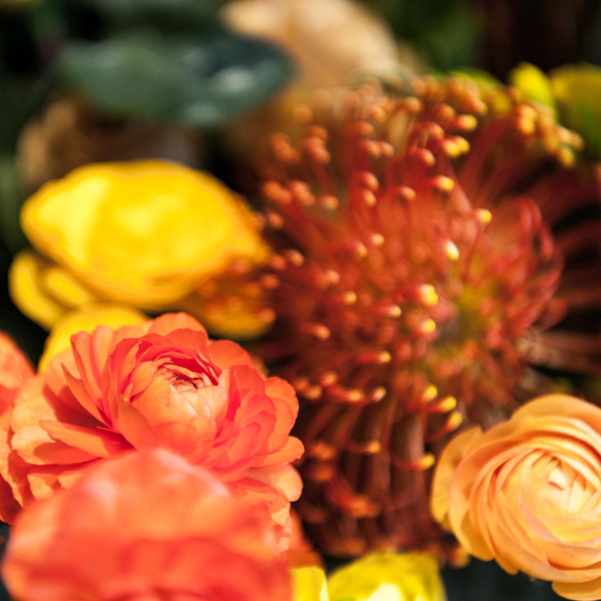 Fawns Leap Botanical Arts tweet media