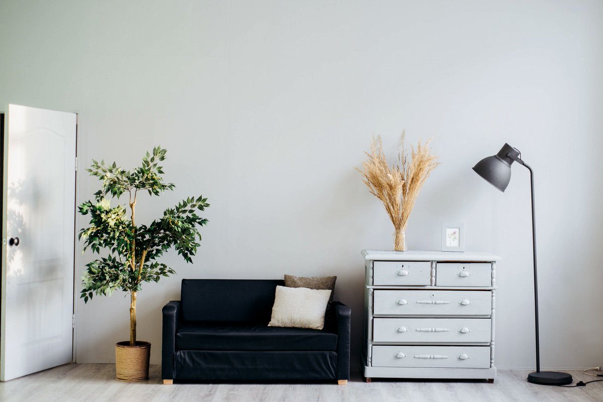 EkoSmartMontp's tweet photo. C'est lundi : le jour du conseil #DeveloppementDurable !

Voici quelques conseils pour purifier l'air de votre maison ou votre bureau.

Cliquez ici : https://t.co/1q1AiaFrWL

Partagez cette publication pour informer vos amis ! https://t.co/7DQfP698dC