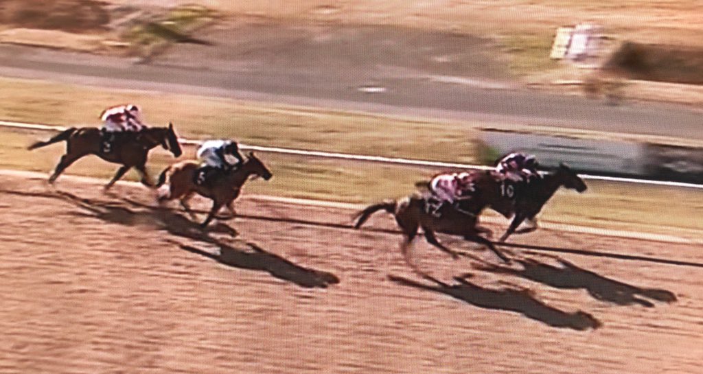 amajox's tweet photo. Congrats @amajox @jomason90 wins #Aphaea @WolvesRaces #double #topjock #topride #champ #photo #nose @ARO_Racing 👍👏👌🏇🌬🏆🏆🍾🍾 https://t.co/mnyRiIwCnB