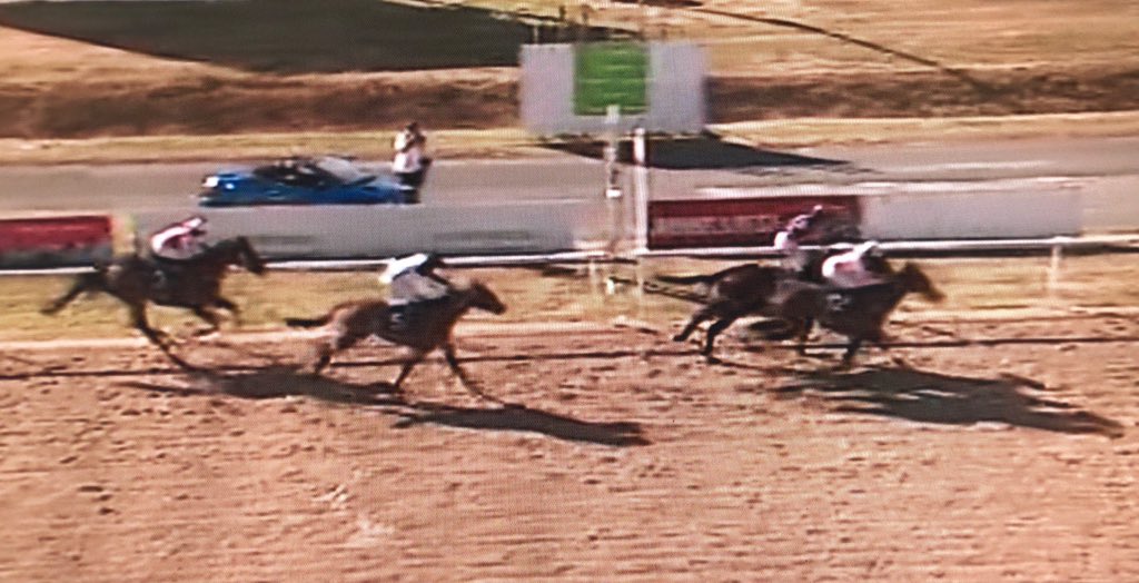 amajox's tweet photo. Congrats @amajox @jomason90 wins #Aphaea @WolvesRaces #double #topjock #topride #champ #photo #nose @ARO_Racing 👍👏👌🏇🌬🏆🏆🍾🍾 https://t.co/mnyRiIwCnB