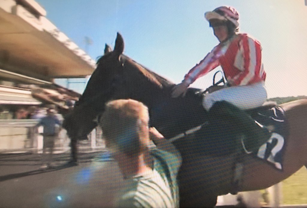 amajox's tweet photo. Another winner another chat @amajox @jomason90 #double @LeglockLuke @WolvesRaces #Aphaea #MWE @dmeasterby #topjock #champ @ARO_Racing 🏆🏆🍾🍾 https://t.co/Im2RiBx6pw