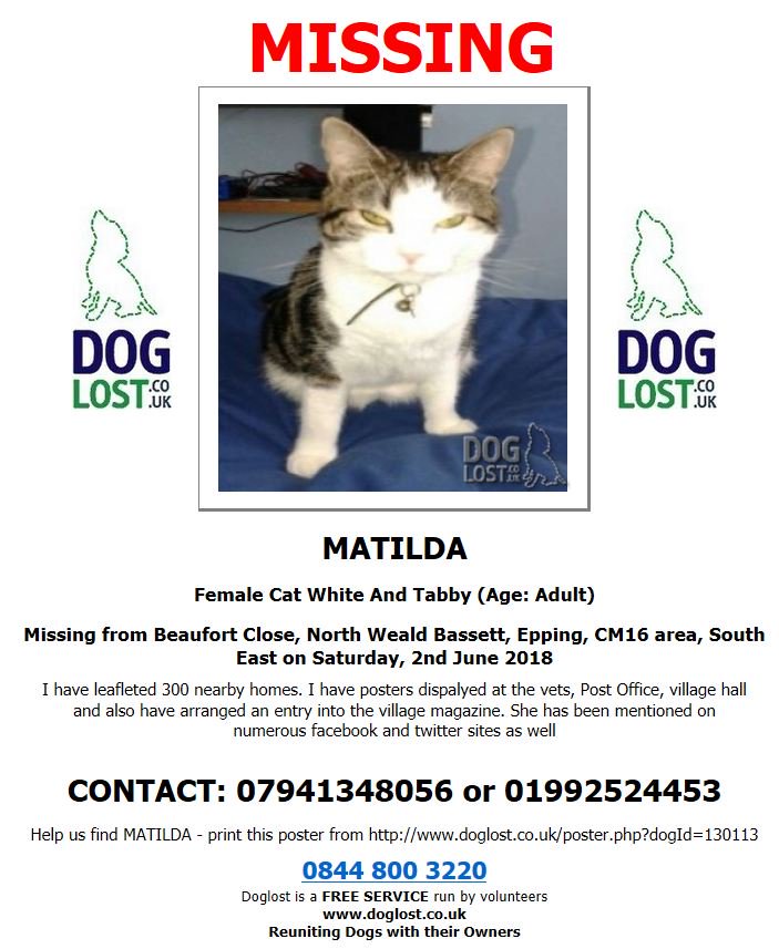 MissingPetsGB's tweet photo. I will retweet supporters for Bobby and Matilda's thunderclap. Please support to help these two to their home. @FenTigerNeil @sarah_randx @FindOurPup #FindMatilda #FindBobby https://t.co/Y0QIgTdFmF
