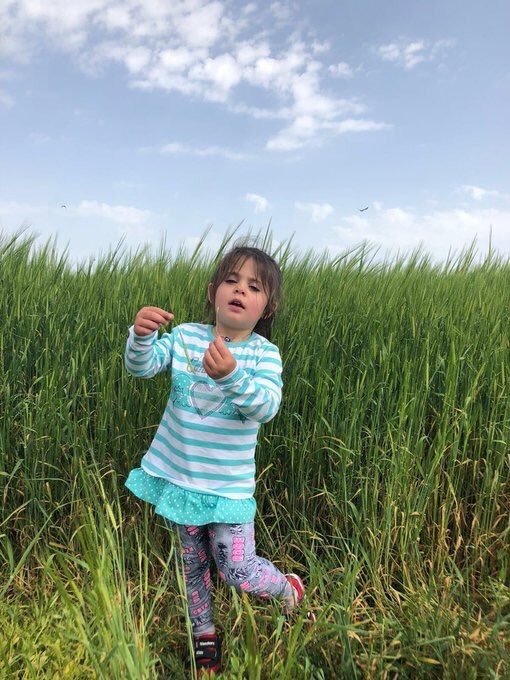 ÖFKEMİZ Gökyüzü kadar uçsuz bucaksız... 

Leyla’dan acı haber geldi. 

Söyleyecek söz bitti...

#idamİSTİYORUZ! 
#idamİSTİYORUZ! 
#idamİSTİYORUZ!

#ultrAslan