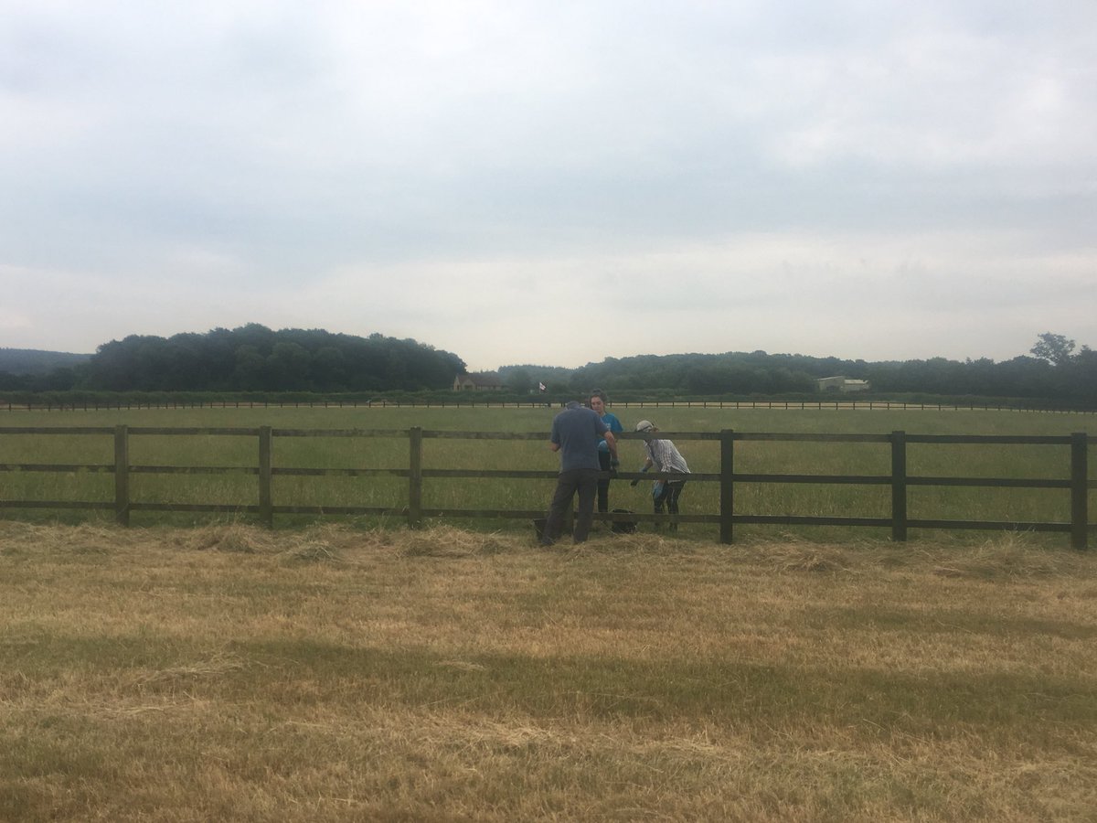 Frome Cheese Show tweet media
