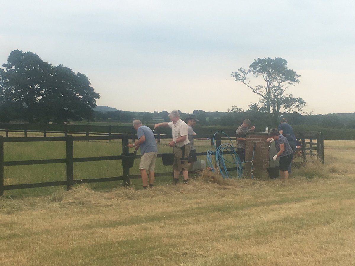 We’ve been super busy painting our main ring fence!
It’ll look fantastic on 8th Sep when it’ll be filled with some amazing horse classes and livestock!
400 metres front and back in one afternoon - not bad going! Thank you to all who helped! #teamwork