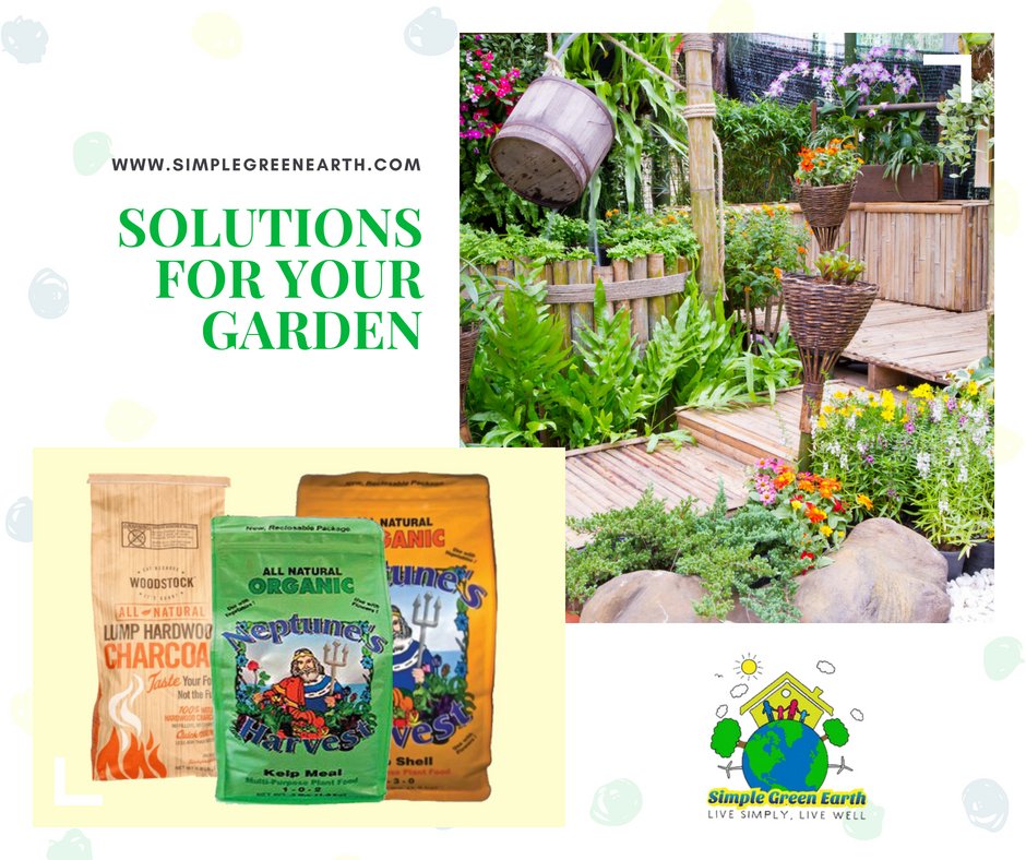 simplegreenlive's tweet photo. Over time, these small steps add up and can have a profound positive impact. Here are our Garden Solutions. Find your own next step – Pick one thing and start ... || Check us out on => https://t.co/IzxuGPXsgK || #gardening #garden #plant #plants #planting #gardens #growyourown https://t.co/nQN2N22T9Z