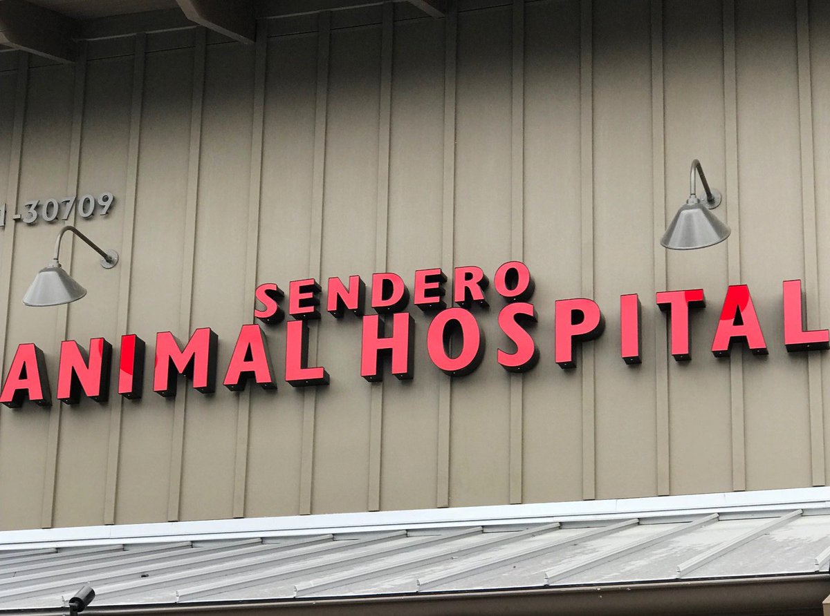 bocklighting's tweet image. Light up your storefront with #bocklighting sign lighters
#signlighting #storefront #business #commerciallighting #led #lighting #design #lightingdesign #remodel #architect #reflector #scilights #senderoah