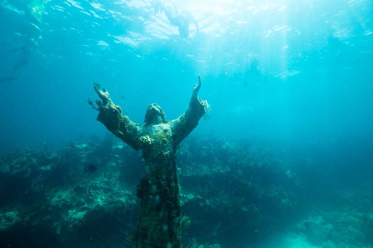 #TFW you dive deep and discover one of Florida's greatest hidden gems. #LoveFL