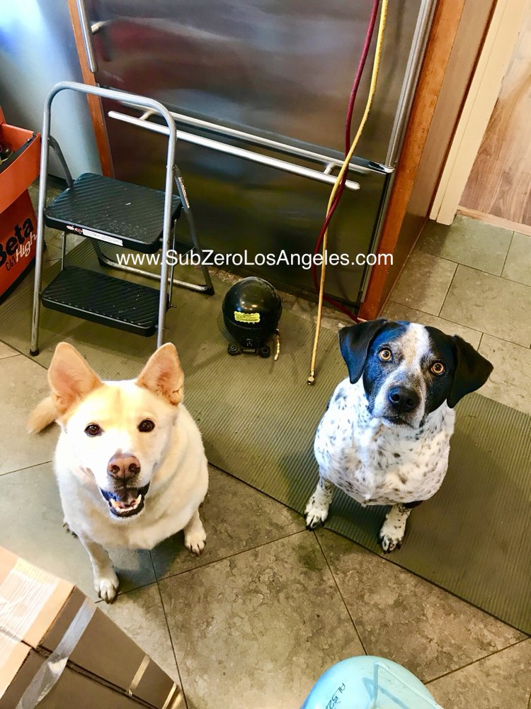 SubZeroService's tweet image. #SubZeroRefrigerator 650 model successfully repaired in Malibu CA with cute fluffy support team on premises. Fridge working just fine: its cold and making ice! :) For same day Sub-Zero and Wolf appliance repair: (800) 440-8583
Book it online: subzerolosangeles.com
#subzerowolf