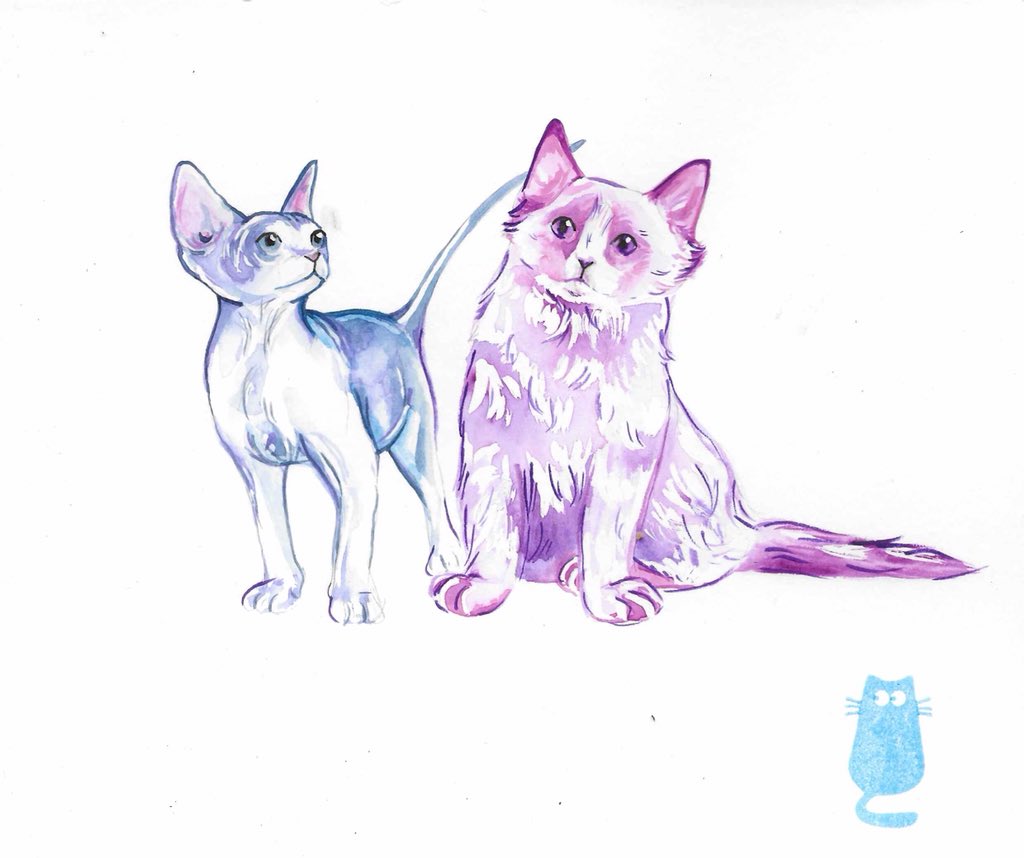 AnimalsAnne tweet picture