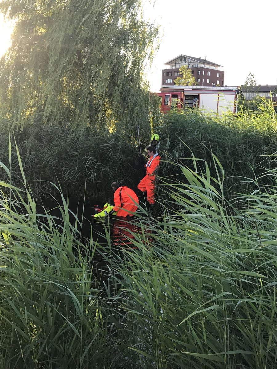 Brwhia's tweet image. Oefenen op waterongevallen in het Sophiapark. #levenlangleren