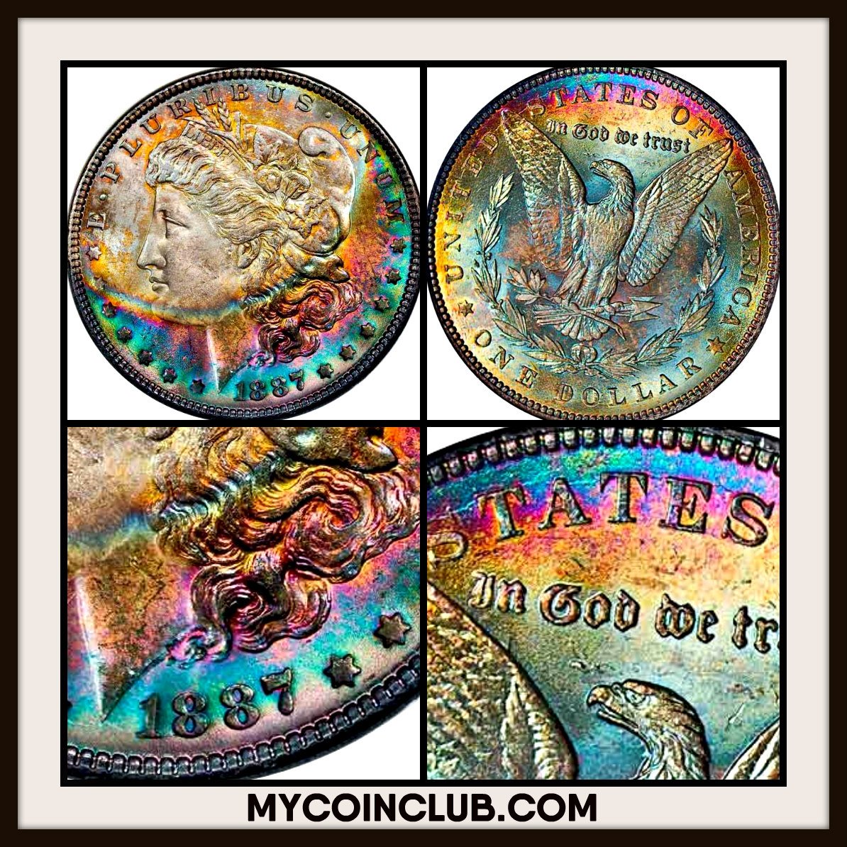 MyCoinClub's tweet image. Our featured coin of the day is this dazzling 1887 Morgan Dollar certified by @NGCcoin.  Our coin club is growing!  Come check it out and show us YOUR coins.  Your photo may be our next featured post!
mycoinclub.com