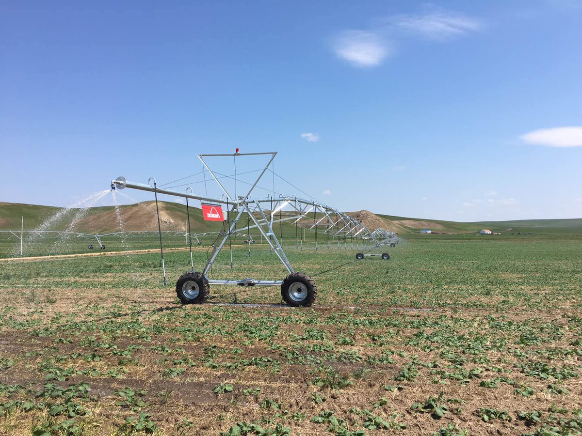 MapleYu7's tweet image. Both sides over hang.