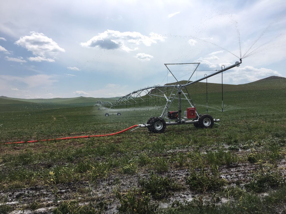 MapleYu7's tweet image. Both sides over hang.