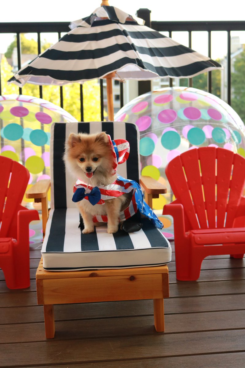 LakesideVA's tweet photo. The pictures from our #PetsOfLakeside #PhotoShoot are in...and they are way too cute! #BozzutoRAD https://t.co/1YgxwgZM10