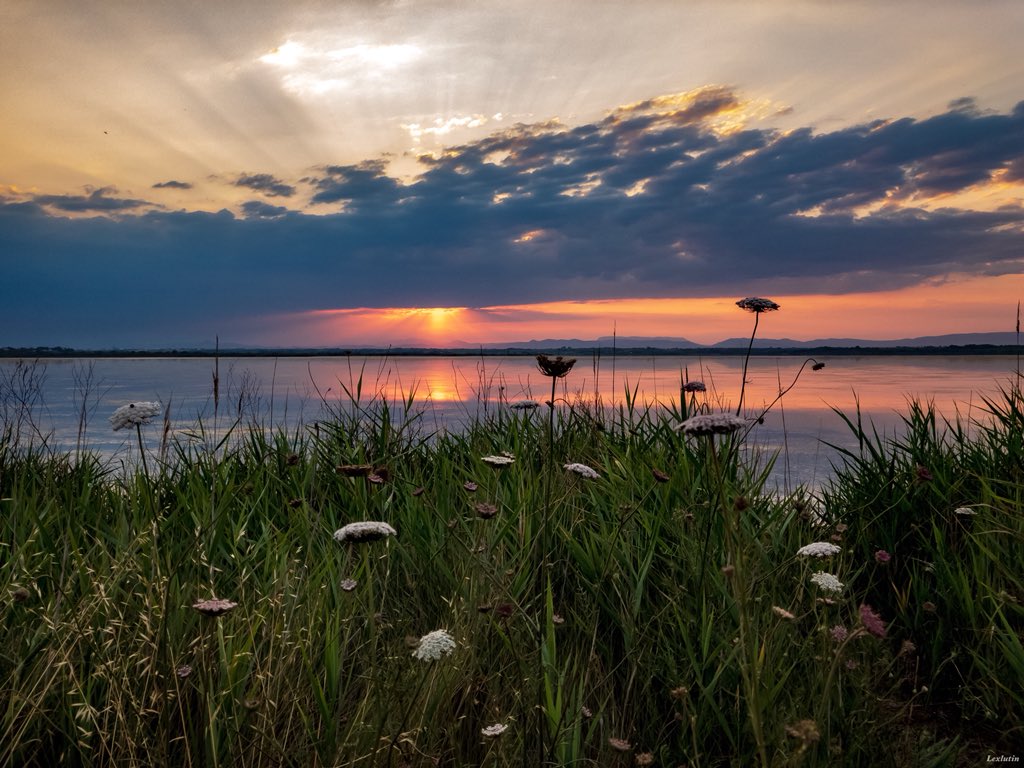 Lexlutin66's tweet image. L’étang de Saint Nazaire-Canet en Roussillon...
#landscape #shotoniphone #rawformat #shotwithhalide #PyreneesOrientales #Occitanie