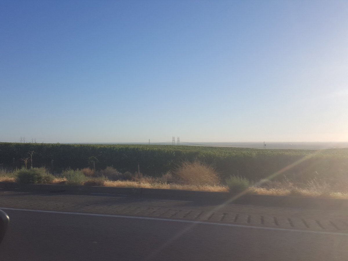 Brown Bear Organics tweet media