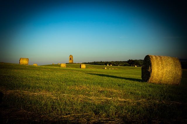 SBlackPhoto's tweet image. #bishopsGate with the #bails #harvested in the evening sun. ift.tt/2KKnRzK