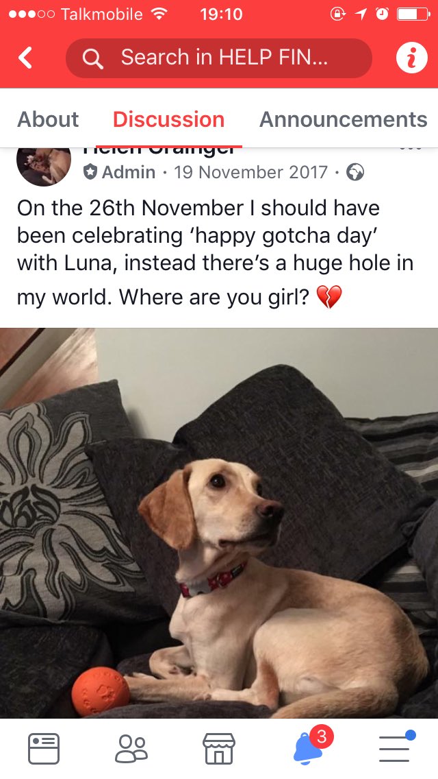 rosiedoc666's tweet photo. #HelpFindLuna
#LetsfindLuna
SOMEONE IN AREA MUST OF THOUGHT SHE WAS A STRAY
#Tewkesbury #Gloucestershire #GL20 🆘 https://t.co/HGtu6BczVT