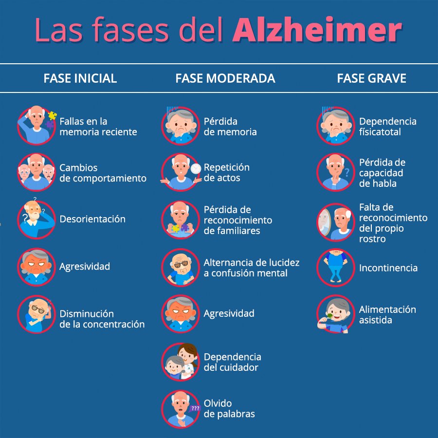 KnowAlzheimer's tweet photo. Sabemos que existen personas que viven los síntomas de forma individualizada pero en términos generales, el proceso del Alzheimer se divide en 3 etapas. https://t.co/LACMiLFDgn