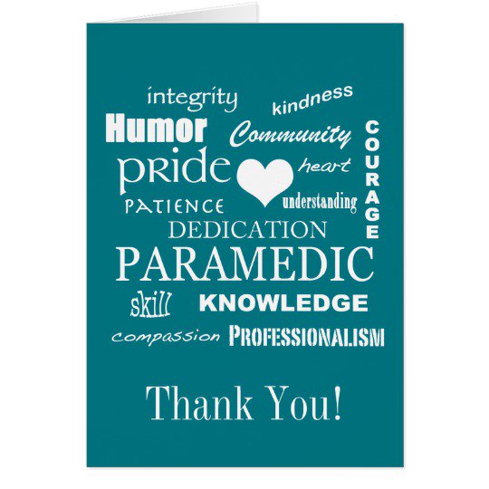 HPS_Paramedics's tweet photo. Special thanks to all the #Hamilton #Paramedics that celebrated #CanadaDay2018 by serving the community and it's visitors during this heat wave. Your dedication, professionalism &amp; amazing patient care, truly makes #HamOnt  "The best place to raise a child and age successfully" https://t.co/yrUHK6IVMm