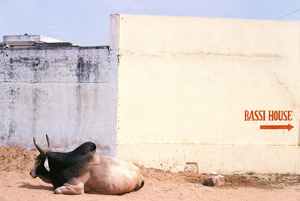 aycmedia's tweet photo. Project Manger Lauren Fiasconaro shared some recent photos from her trip to Jaipur, India on the blog. Can you guess which one came from 35mm film? https://t.co/VXBL7agRfn https://t.co/TECbgKRY2s