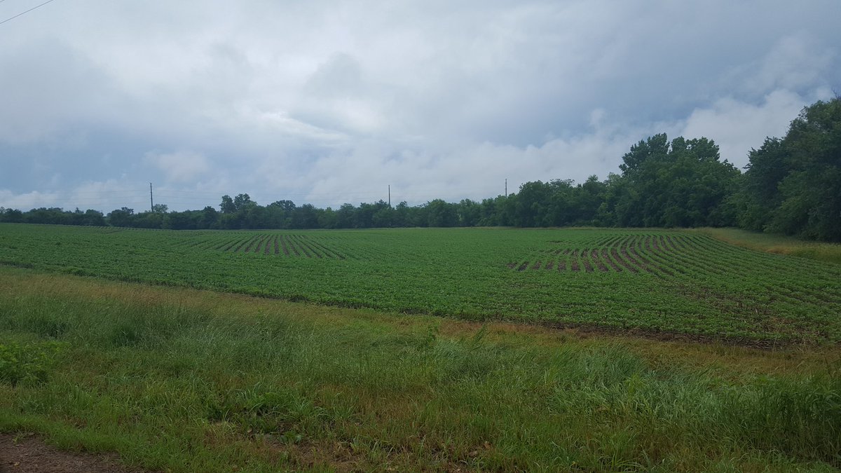 OutreachOutdoor's tweet photo. Insert giant buck here. https://t.co/j40Bt6kJlX