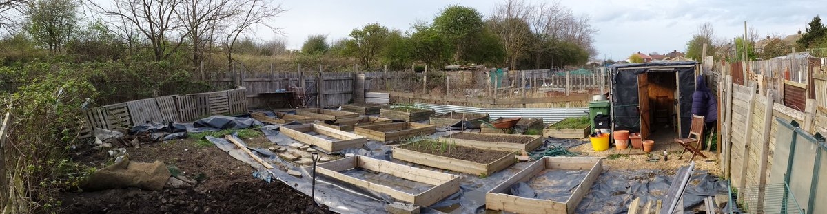 kanea03's tweet photo. 2008 to now &amp; some point inbetween. Been a slog at times but well worth it #allotment #gardenshour https://t.co/UyYXm3Vjt1