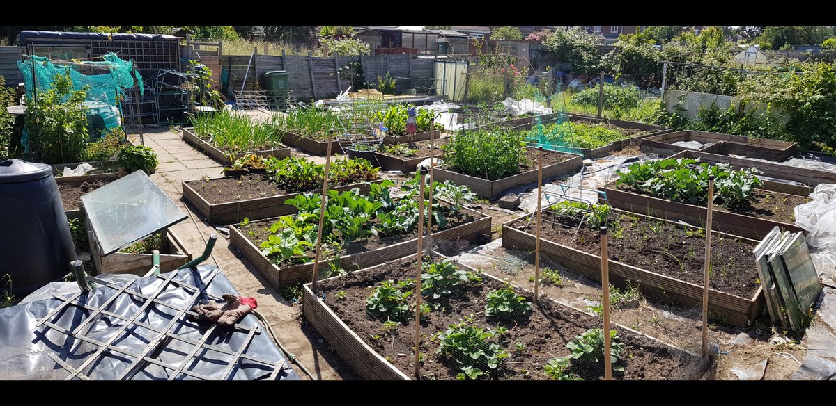 kanea03's tweet photo. 2008 to now &amp; some point inbetween. Been a slog at times but well worth it #allotment #gardenshour https://t.co/UyYXm3Vjt1