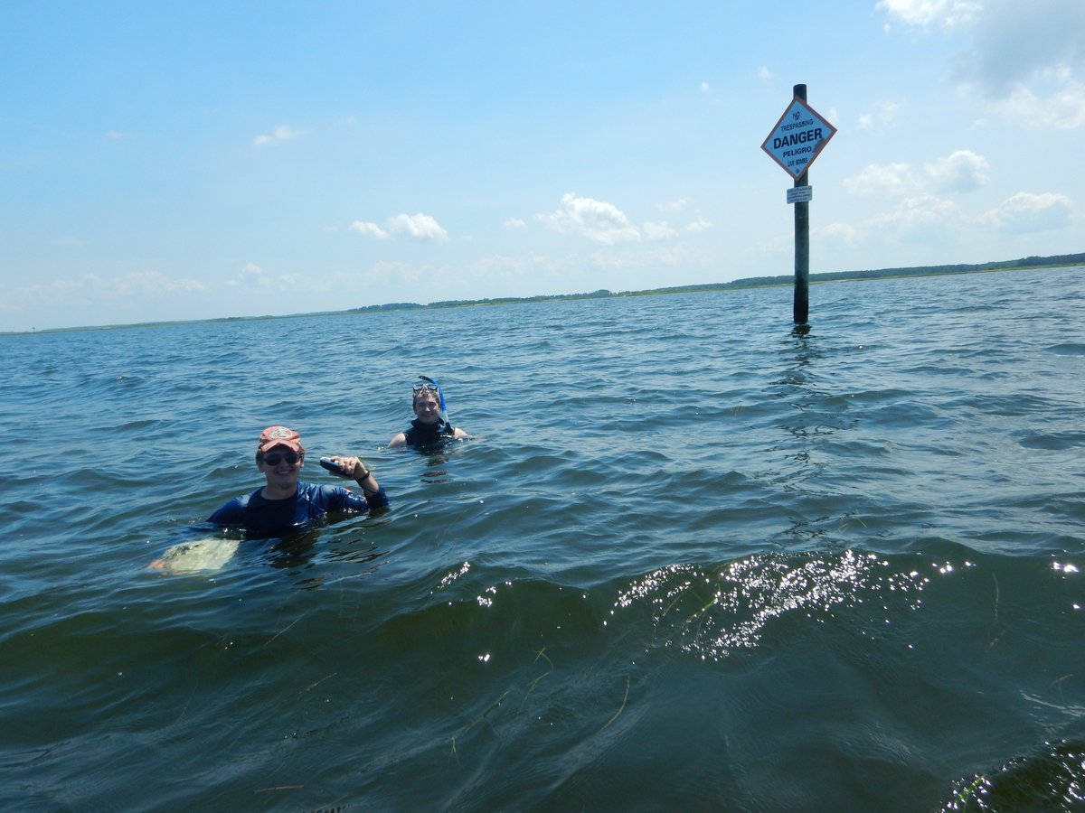 LabSav's tweet image. We wrapped up our annual seagrass transect sampling. 2018 is the 40th year of this survey!