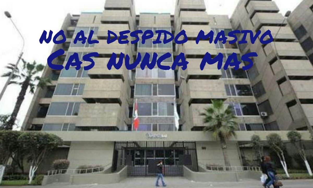 1972_veronic's tweet photo. @FioreMolinelli y Sr. Alex Vera Alvarez han vulnerado derechos laborales de Trabajadores CAS de @EssaludPeru según Ley  27056 de Creación de EsSaluddespués de 3 meses de prueba toca contrato 728 #RenovaciondeTrabajadoresCAS  @HCevallosFlores @UrsulaLetona @IndiraHuillca
@stapiab https://t.co/dCeFk96L6K