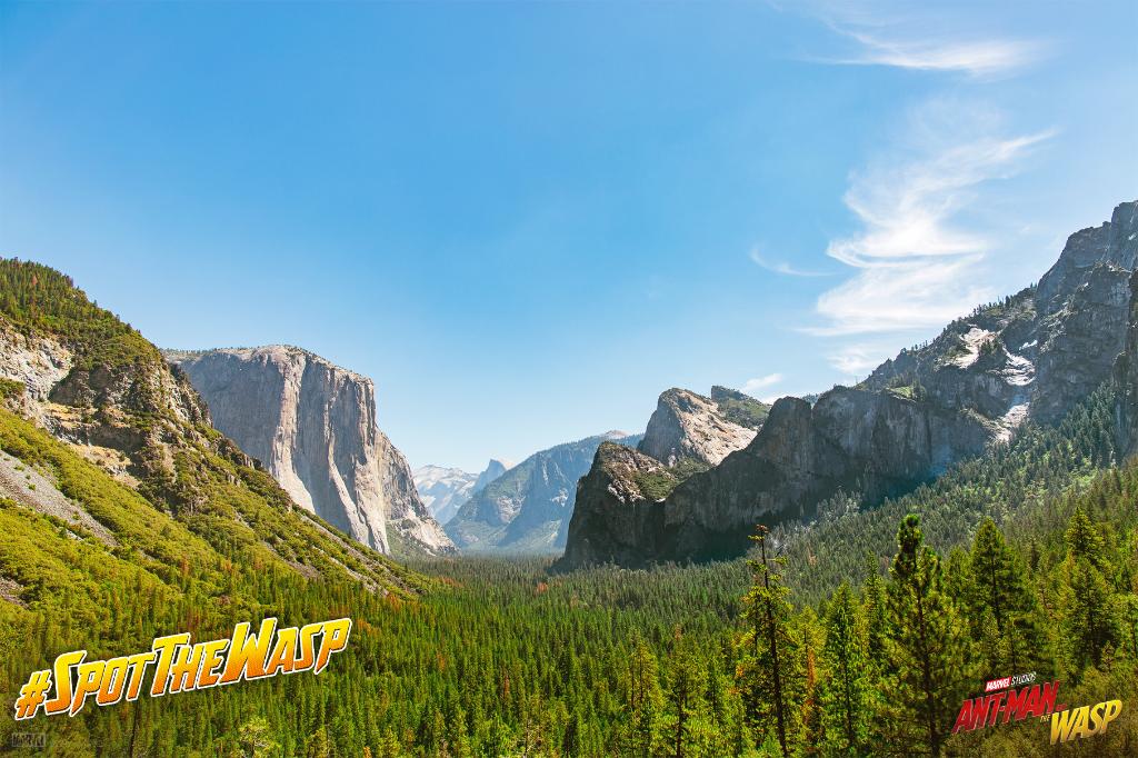 Marvel's tweet photo. Can you spot #TheWasp? Hint: You might need to pinch and zoom. #AntManAndTheWasp https://t.co/i6dwRxWpC3
