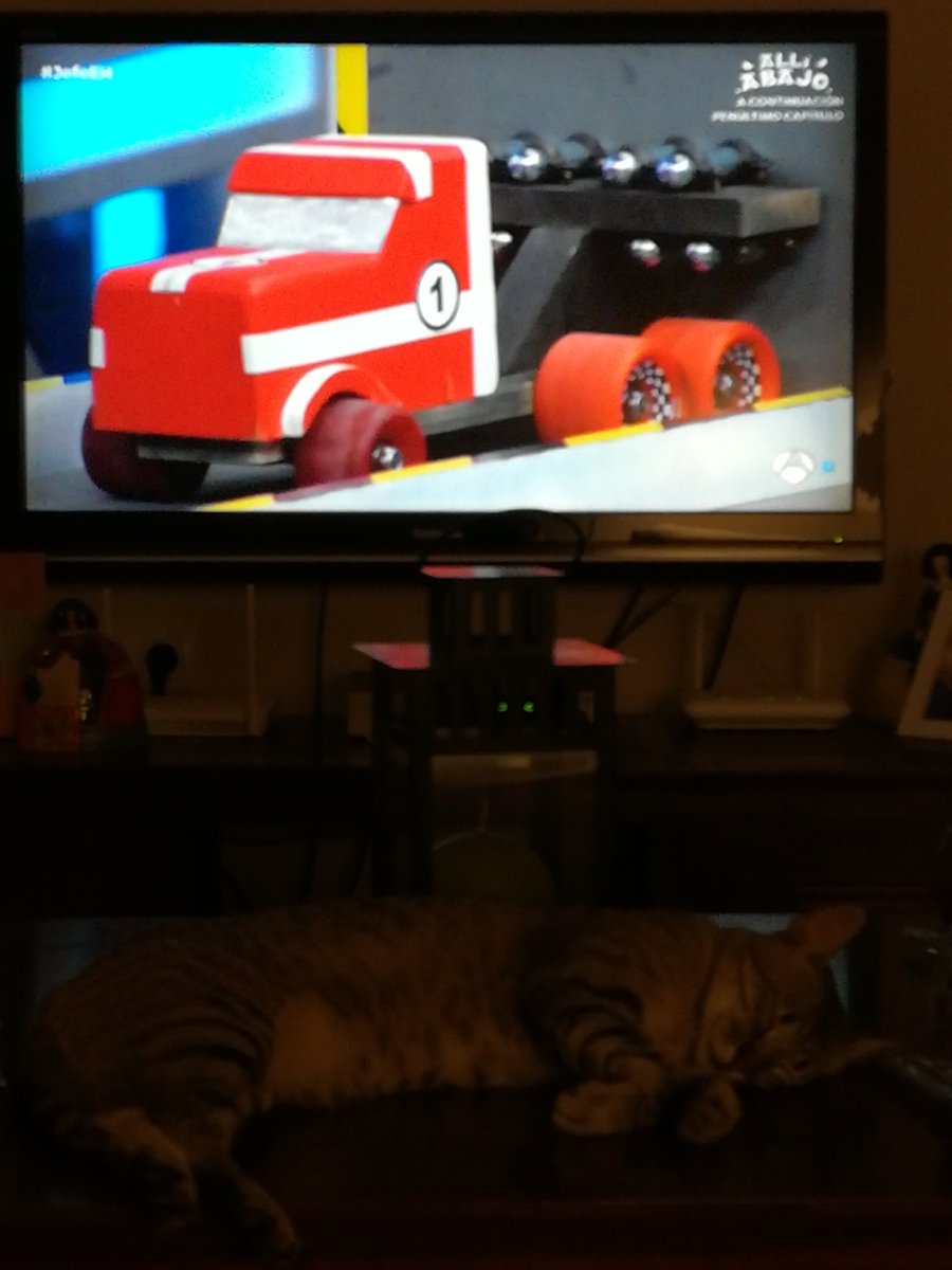 NUESTRODEH's tweet photo. #JefeEH
Carrera coches locos...
Y mi gata durmiendo https://t.co/1DjTABgj1f