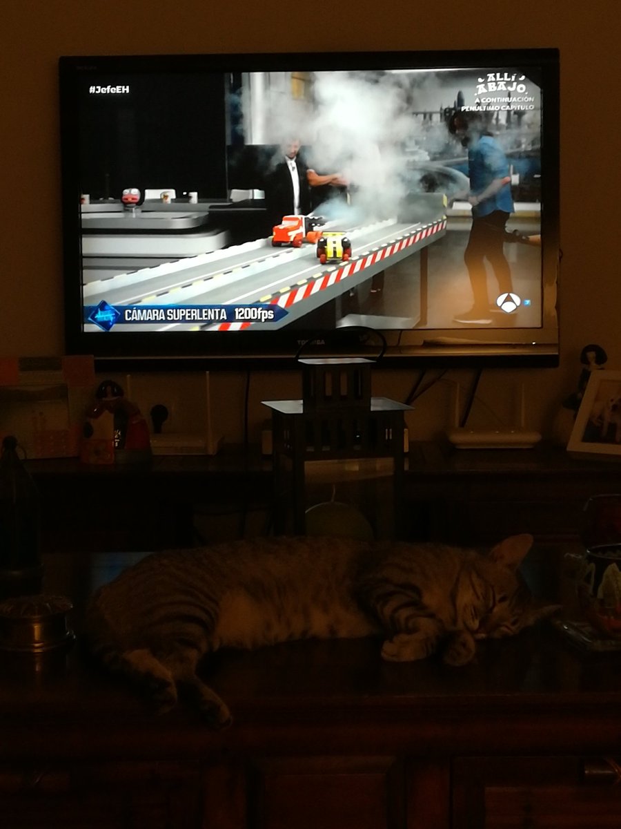 NUESTRODEH's tweet photo. #JefeEH
Carrera coches locos...
Y mi gata durmiendo https://t.co/1DjTABgj1f