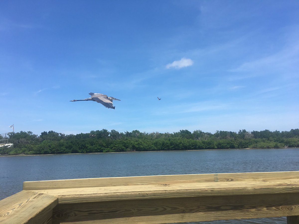 ClintonKyme's tweet image. Life is GOD given :)