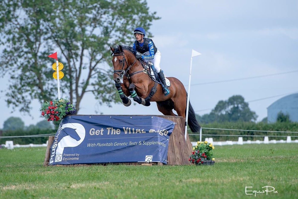 So great to see <a href="/Mr_Mulry/">Mulrys Error</a> out with <a href="/BenHobday/">Ben Hobday</a>’s stable jockey Seb in the 1* at Kilguilkey Horse Trials at the weekend- Flying the Argentinian flag! 🇦🇷  #ChampStillGotIt  💪🏼

(📸 Thanks to <a href="/EquusPixPhotogr/">EquusPix Photography</a>)
