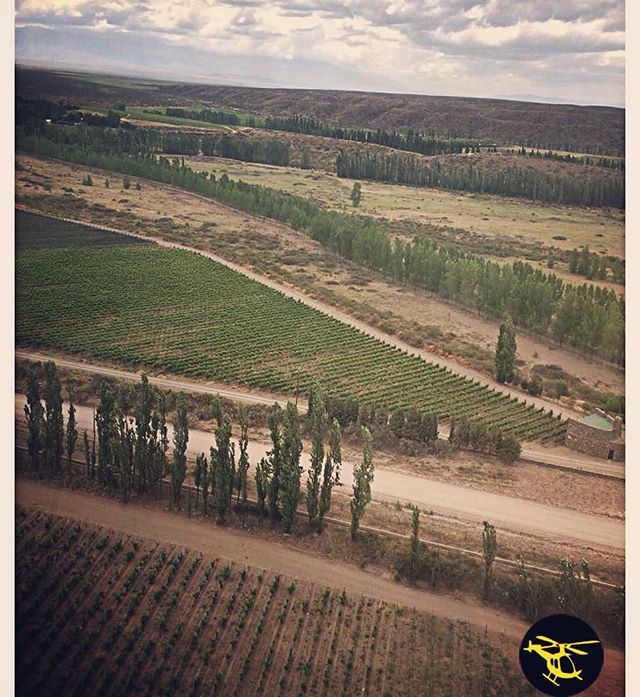 info@helicopterosmendoza.com ift.tt/2ySuSfK
'Viñedo Adrianna' desde el aire El Grand Cru de Sudamerica Felicitaciones
@lauracatenamd @alevigilmalbec #100puntosparker @catenawines @enemigowines #viñedoadrianna #viñedounicoadrianna #adriannavineyard #malbec #cabernetfranc