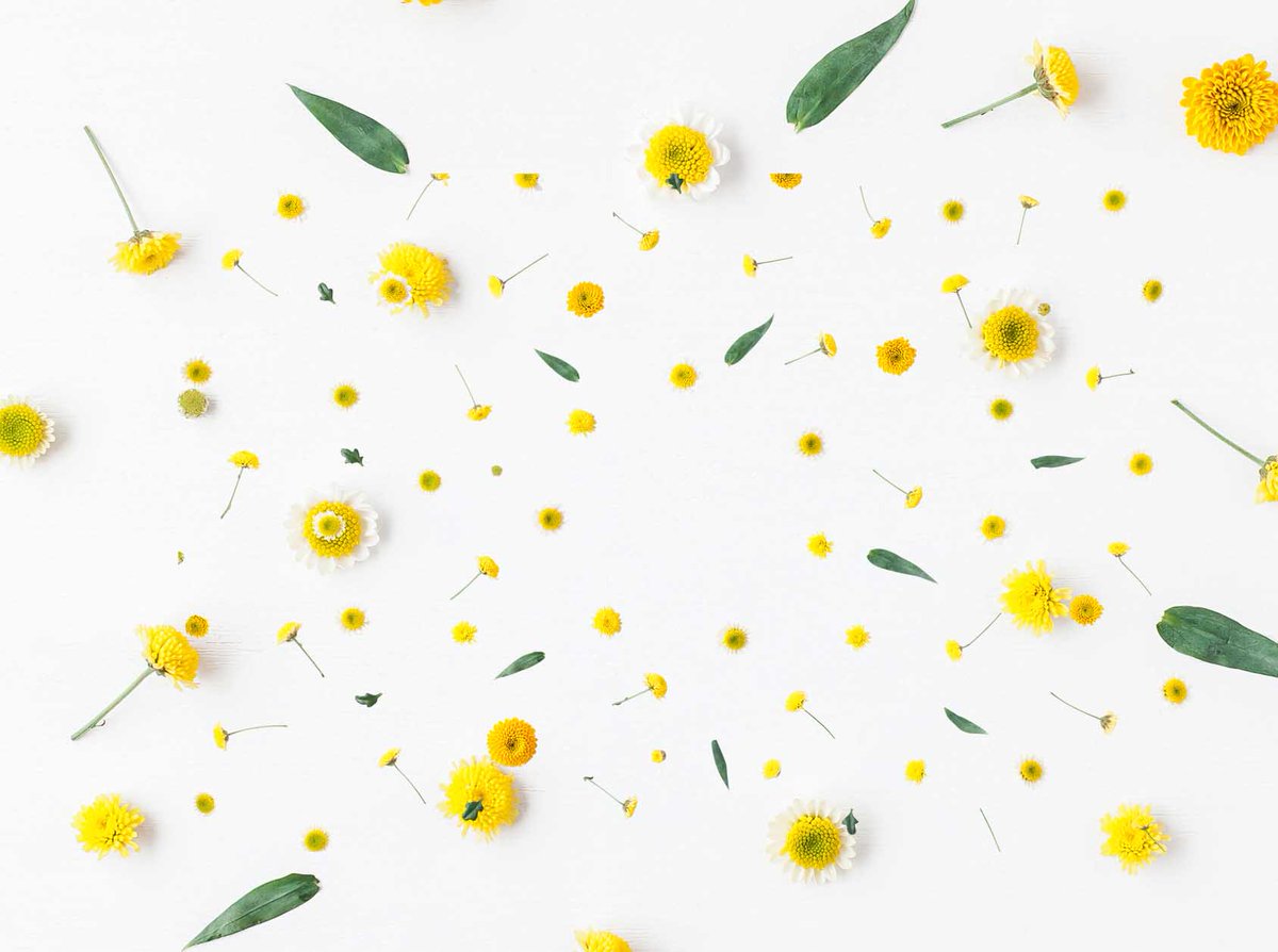 clippingpathval's tweet image. We provide world class service in graphics production.Your satisfaction is our principle motto. goo.gl/rWVtb4