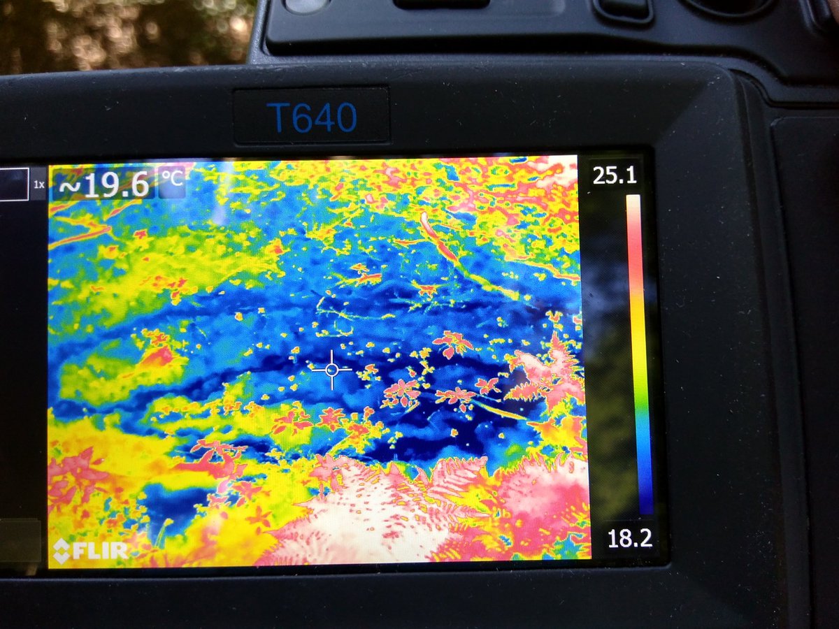 hydrojulian's tweet photo. Field day with @jan_seibert. Perfect conditions for detecting surface saturation with thermal infrared imagery @list_hydrocat #weierbach #hydrology https://t.co/TlIXujZR0K